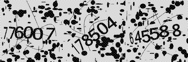 Please enable image downloads in your browser.